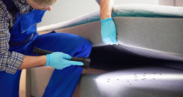 Best Cockroach Control Services  in Spring Creek, NV